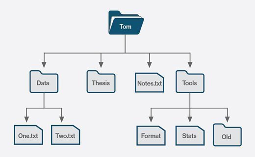 An illustration of a file tree.