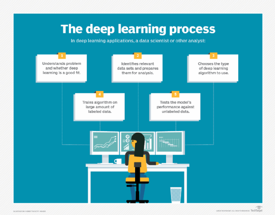 Diagram of steps in the deep learning process.