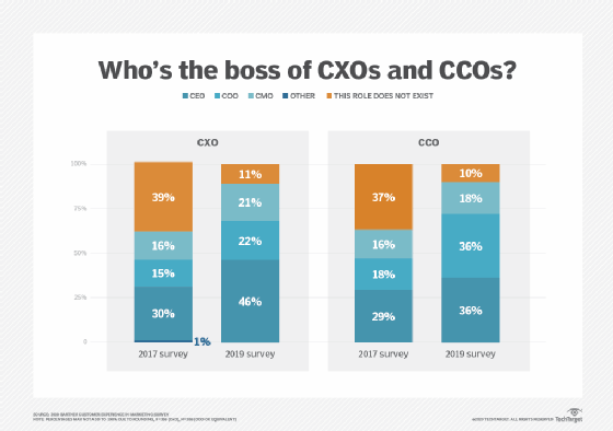 Bar graph showing who customer experience officers and chief customer officers report to.