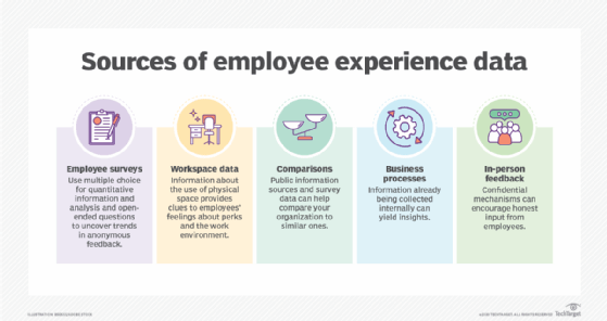 A graphic showing the various ways that you can measure employee experience