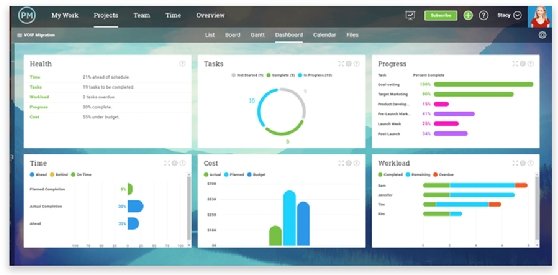 Screenshot of a Projectmanager.com dashboard.