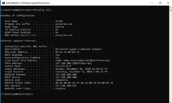 Verifying DNS server usage