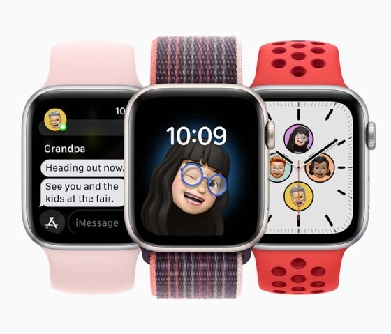 What comes with the apple watch sale