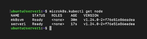 Screenshot showing the output of the 'microk8s.kubectl get node' command