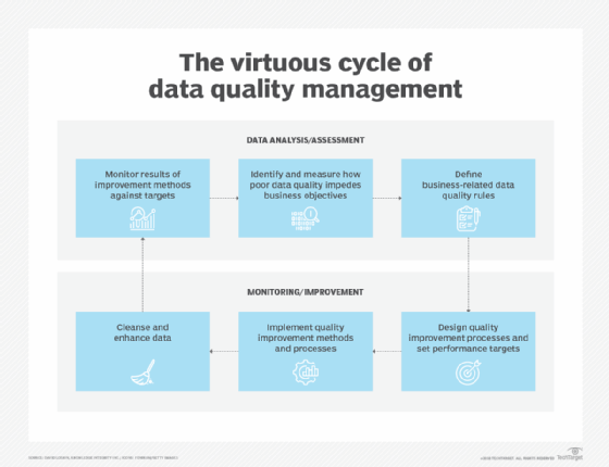 schematic depiction of the data quality lifecycle