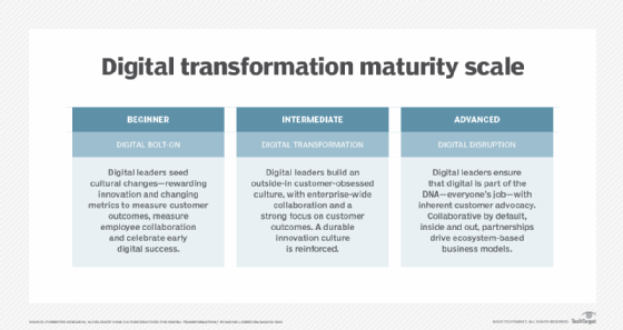 Diagram showing the different levels of digital transformation.