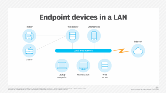 Diagram of endpoint devices and how they connect to a LAN.