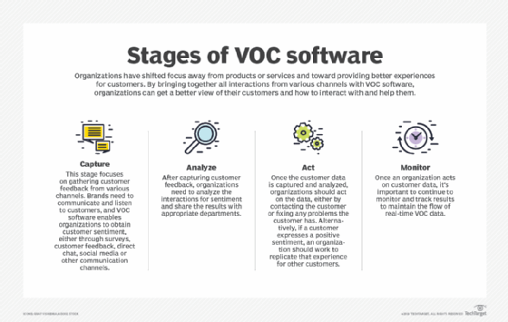 stages of a voice of the customer program