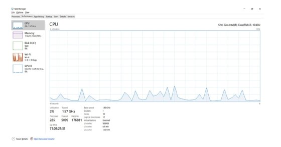 Windows 11 Task Manager report screenshot