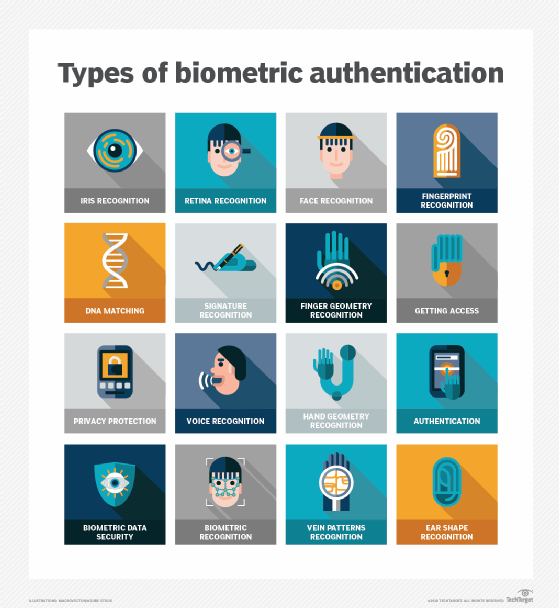 Diagram showing types of biometric authentication.