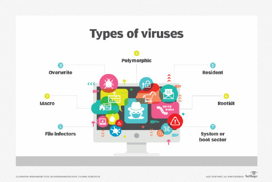 A graphic that displays the different types of computer viruses, including rootkits and file infectors.