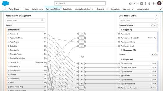 Screen capture of customer data mapping with Data Cloud and Salesforce Einstein 1.