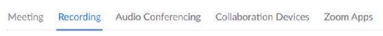 Zoom recording nav bar