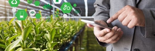 How AI can be used in agriculture: Applications and benefits | TechTarget