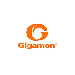 Gigamon