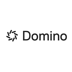 Domino Data Lab